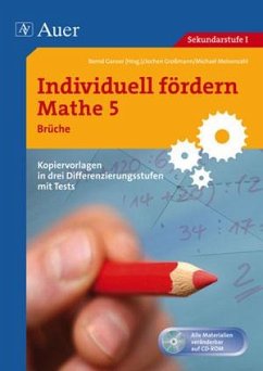 Individuell fördern: Mathe 5 Brüche - Großmann;Meisenzahl