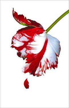 Cover New Moon. White Cover
