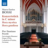 Orgelmusik (Konzertstück In C-Moll/Hora Mystica/+)