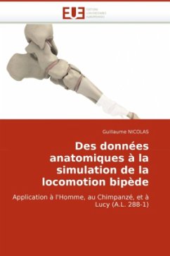 Des Donnees Anatomiques a la Simulation de La Locomotion Bipede