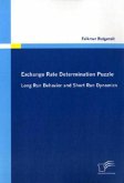 Exchange Rate Determination Puzzle: Long Run Behavior and Short Run Dynamics