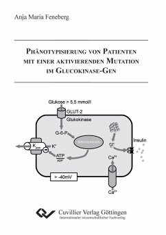 Phänotypisierung von Patienten mit einer aktivierenden Mutation im Glucokinase-Gen - Feneberg, Anja
