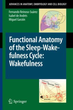 Functional Anatomy of the Sleep-Wakefulness Cycle: Wakefulness - Reinoso-Suárez, Fernando;de Andrés, Isabel;Garzón, Miguel