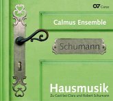 Hausmusik-Zu Gast Bei Clara Und Robert Schumann