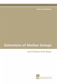 Extensions of Abelian Groups