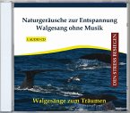 Naturgeräusche Zur Entspannung-Walgesang