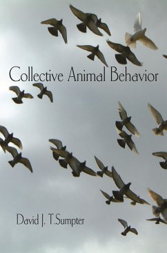 Collective Animal Behavior - Sumpter, David J T