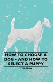 How To Choose A Dog - And How To Select A Puppy