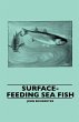 Surface-Feeding Sea Fish - Bild 1