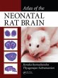Atlas of the Neonatal Rat Brain - Bild 1