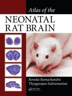 Atlas of the Neonatal Rat Brain - Ramachandra, Renuka; Subramanian, Thyagarajan