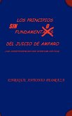LOS PRINCIPIOS SIN FUNDAMENTO DEL JUICIO DE AMPARO. (Las jurisprudencias que deniegan justicia)