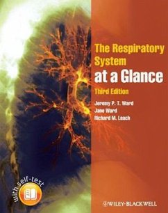 The Respiratory System at a Glance