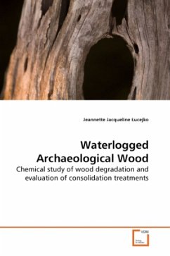 Cover Waterlogged Archaeological Wood