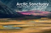Arctic Sanctuary: Images of the Arctic National Wildlife Refuge