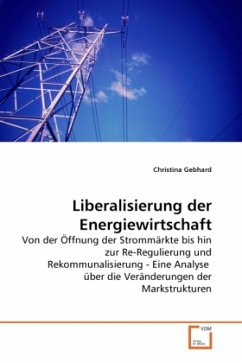 Liberalisierung der Energiewirtschaft - Gebhard, Christina