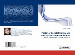 Posterior Parietal Cortex and non-spatial attention control