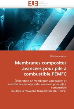 Membranes composites avancées pour pile à combustible PEMFC - Marrony, Mathieu