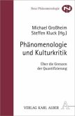 Phänomenologie und Kulturkritik