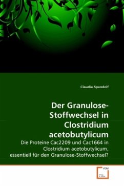 Der Granulose-Stoffwechsel in Clostridium acetobutylicum - Spandolf, Claudia