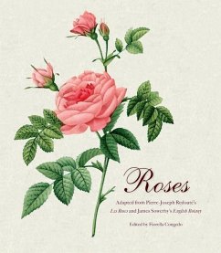 Roses - Redoute, Pierre Joseph; Sowerby, James