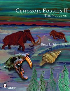 Cenozoic Fossils II - Stinchcomb, Bruce L