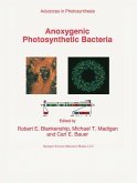 Anoxygenic Photosynthetic Bacteria