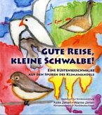 Gute Reise, kleine Schwalbe!