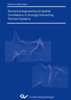 Numerical Approaches to Spatial Correlations in Strongly Interacting Fermion Systems - Hafermann, Hartmut