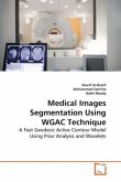 Medical Images Segmentation Using WGAC Technique