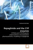 Repaglinide and the CYP enzymes