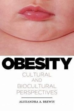 Obesity - Brewis, Alexandra a