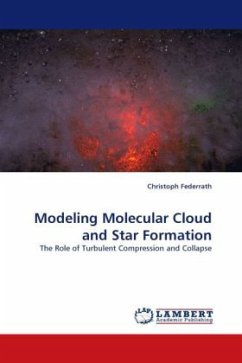 Modeling Molecular Cloud and Star Formation - Federrath, Christoph
