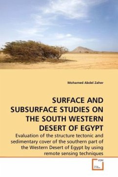 SURFACE AND SUBSURFACE STUDIES ON THE SOUTH WESTERN DESERT OF EGYPT - Abdel Zaher, Mohamed