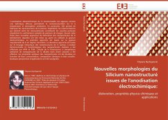 Nouvelles morphologies du Silicium nanostructuré issues de l''anodisation électrochimique: - Nychyporuk, Tetyana