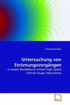 Untersuchung von Strömungsvorgängen - Streller, Christoph