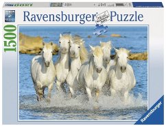 Ravensburger 16285 - Spritzige Erfrischung, 1500 Teile Puzzle