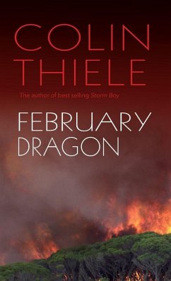 Cover February Dragon