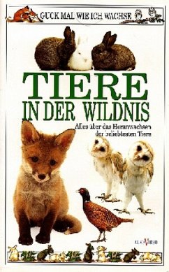 Tiere In Der Wildnis Tiere In Der Wildnis