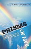 Prisms of Life: Experiences of God's Grace and His Presence in Our Lives