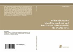 Identifizierung von Interaktionspartnern und Funktion des N-Terminus des Qb-SNAREs Vti1p - Arndt, Marius