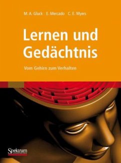 Lernen und Gedächtnis - Gluck, Mark A.; Mercado, Eduardo; Myers, Catherine E.