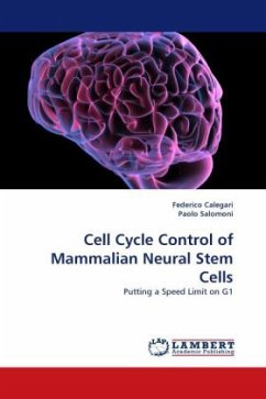 Cell Cycle Control of Mammalian Neural Stem Cells - Calegari, Federico;Salomoni, Paolo