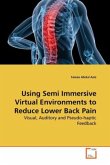 Using Semi Immersive Virtual Environments to Reduce Lower Back Pain