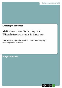 Maßnahmen zur Förderung des Wirtschaftswachstums in Singapur - Schemel, Christoph