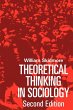 Theoretical Thinking in Sociology - Bild 1