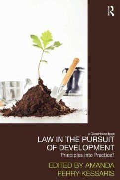 Law in the Pursuit of Development