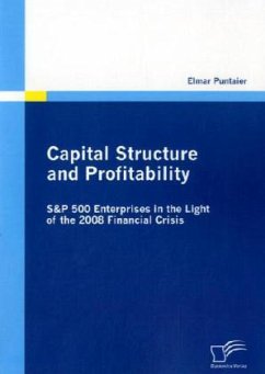 Capital Structure and Profitability: S&P 500 Enterprises in the Light of the 2008 Financial Crisis - Puntaier, Elmar