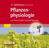 Pflanzenphysiologie, 1 CD-ROM