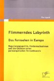 Flimmerndes Labyrinth: Das Fernsehen in Europa ¿ Regulierungspolitik, Fördermaßnahmen und die Chancen eines paneuropäischen Fernsehkanals